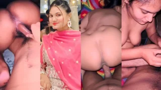 Desi Punjabi Hard Fucking Collection